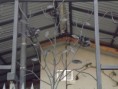 /album/trabajos1/a10418339-488609314602292-42541674107485903-n-jpg/